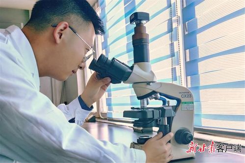 研發(fā)賦能，增產(chǎn)擴(kuò)能 金川集團(tuán)以新材料技術(shù)驅(qū)動(dòng)新能源電池產(chǎn)業(yè)鏈持續(xù)壯大