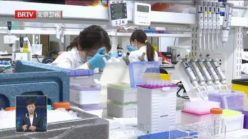 中國生物科技從0到1的突破 生物化工產品技術研發的基石與未來