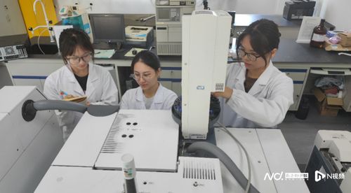 順職學子勇攀科研高峰，工業廢氣協同凈化技術引領綠色化工新變革